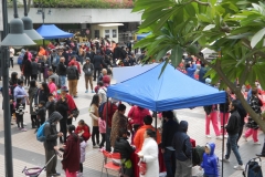 DSCN0995